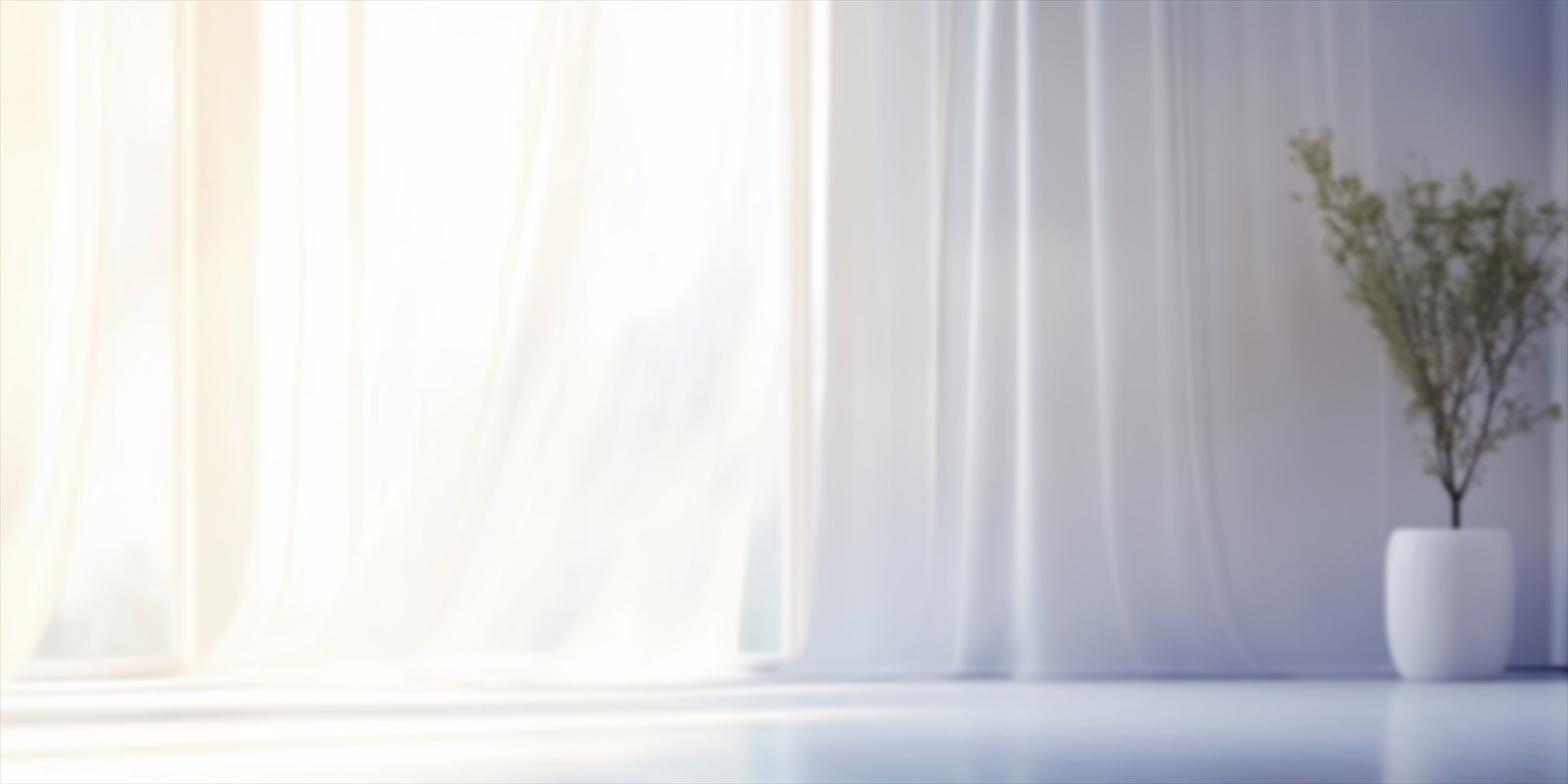 Soft light across white curtains beside a potted plant.